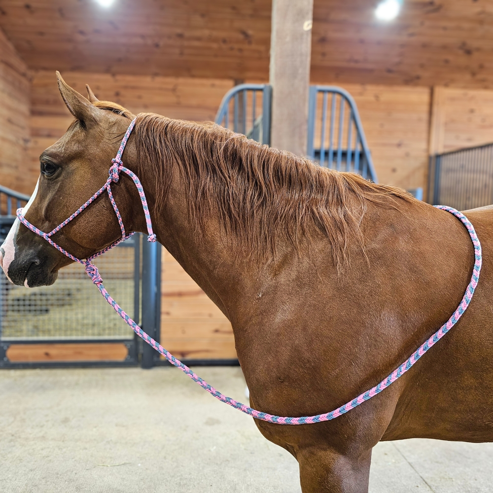 Pink and Blue Braided Rope - Picture 5 of 6